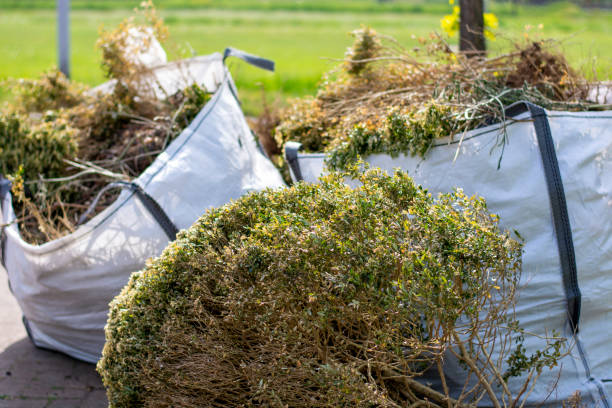 Best Carpet Removal and Disposal  in Clinton, SC